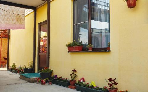 Фотография гостевого дома Диана