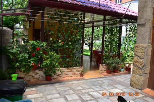 Фотография гостевого дома Алла