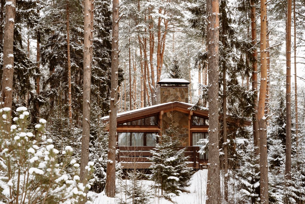 Фотография Коттеджа Шале Охта парк