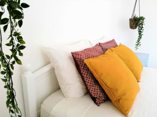 Фотография мини отеля Casa Blu