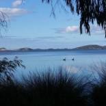 Фотография базы отдыха Lilacs Waterfront Villas & Cottages