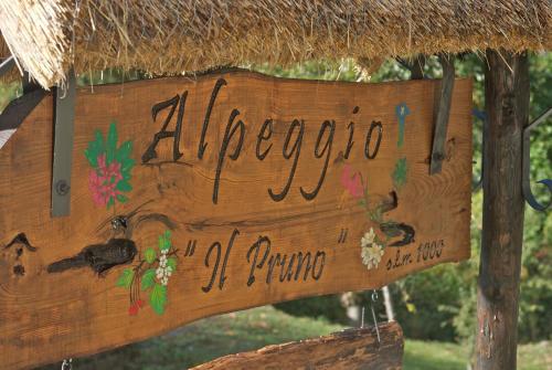 Фотографии гостевого дома 
            Alpeggio Pruno