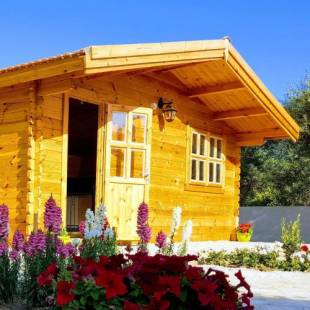 Фотографии кемпинга
Cyprus Glamping Park