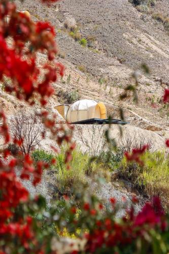 Фотография базы отдыха Terrojo - Glampings de Lujo Duerme Bajo las Estrellas