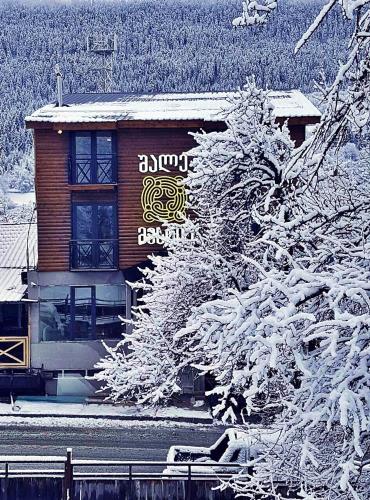 Фотография гостиницы Шале Местиа