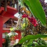 Фотография мини отеля Pousada Paloma