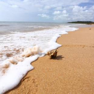 Фотографии мини отеля
Pousada Rigatoni