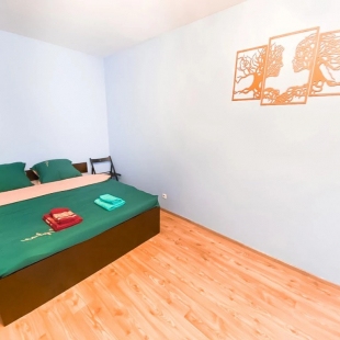 Фотография квартиры Апартаменты Уютная квартира возле Шереметьево