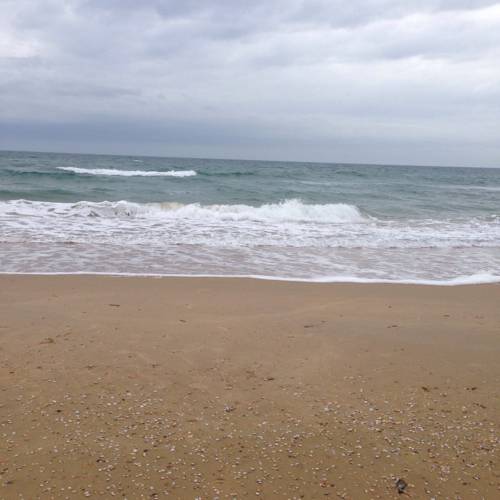 Фотографии гостиницы
Морские Рифы