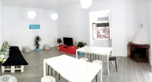 Фотография хостела Aloha Hostel