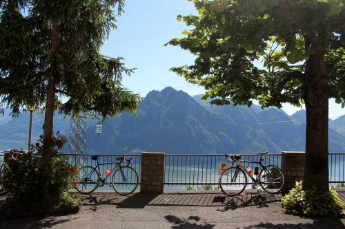 Фотография гостиницы Hotel Poggio d'Oro