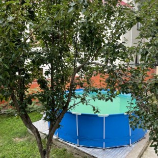 Фотография мини отеля NOVA