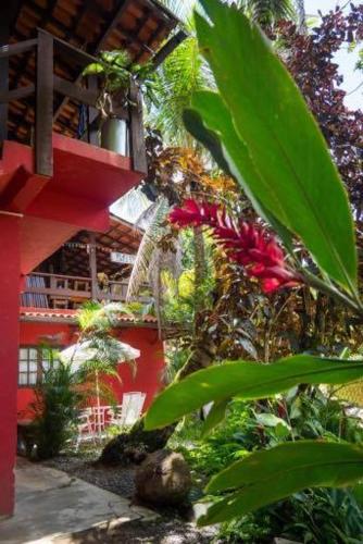 Фотография мини отеля Pousada Paloma