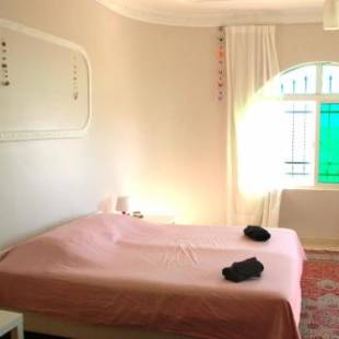 Фотографии мини отеля
B&B Petra Fig Tree Villa