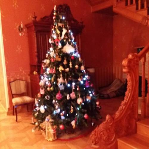 Фотография гостиницы Hotel Renesans