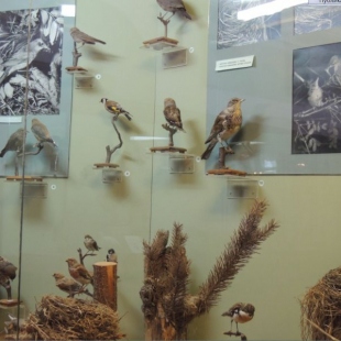 Фотография музея Музей природы Селигерского края