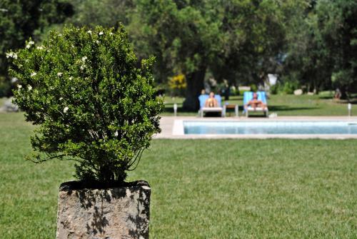 Фотография гостиницы Masseria Corda Di Lana Hotel & Resort