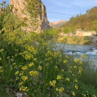 Фотография гостевого дома Le long du Verdon