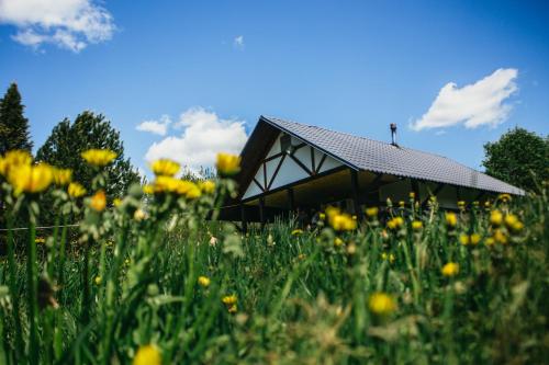 Фотографии базы отдыха
Затерянный мир