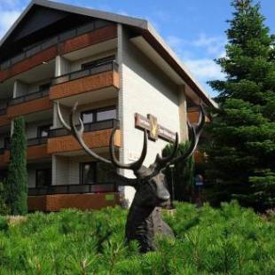 Фотографии гостиницы 
            Hotel Zum Goldenen Hirsch