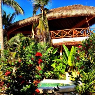 Фотография хостела One Love Hostal Puerto Escondido