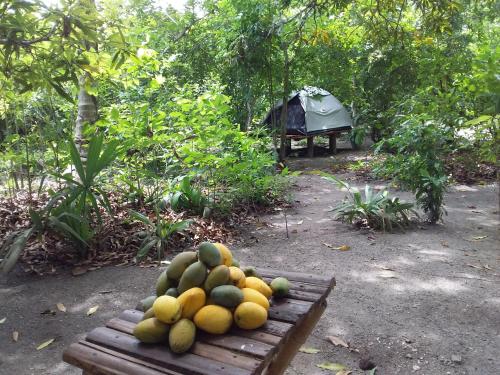 Фотография кемпинга Eco-Camping Mango Feliz Rincón del Mar