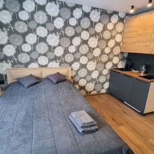 Фотография квартиры Апартаменты на Ленинградской Набережной