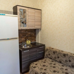 Фотография квартиры Апартаменты на улице Плановая 50