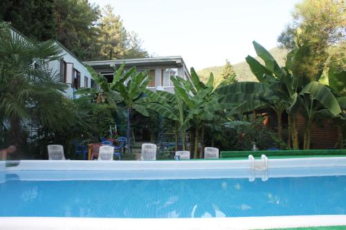 Фотографии гостевого дома
Пальма