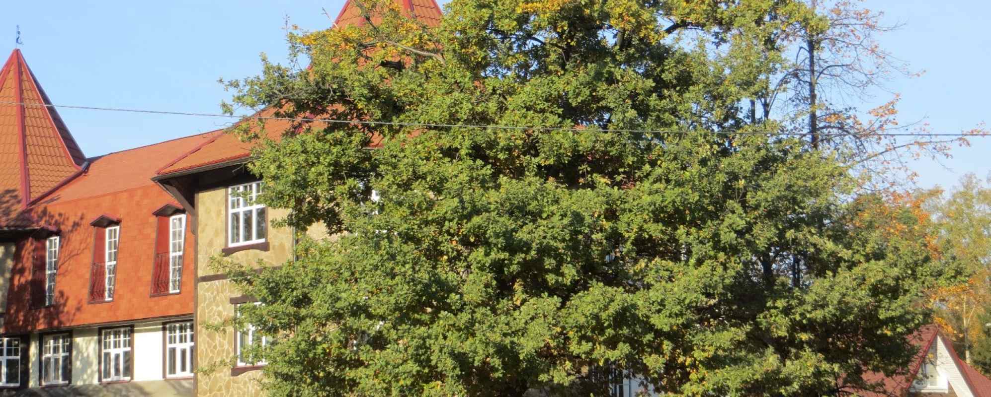 Фотографии гостевого дома Ближние Дубки