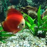 Фотография гостиницы Sunny A Hotel