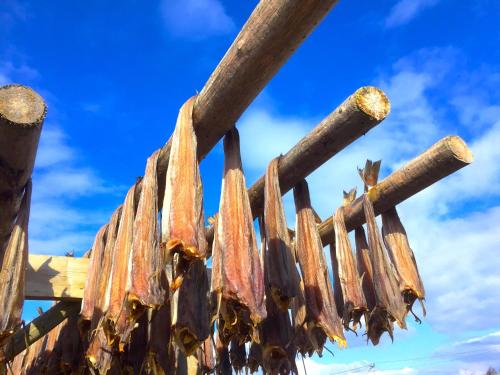 Фотография гостевого дома Eggum Fishermans Cabin