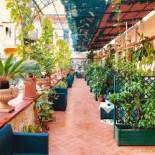 Фотография мини отеля Bed & Breakfast Medea