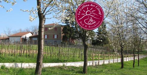 Фотография мини отеля B&BLa collina dei ciliegi