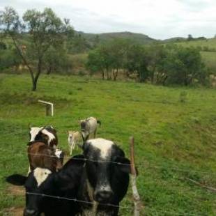 Фотографии гостевого дома
Sossego Da Mata