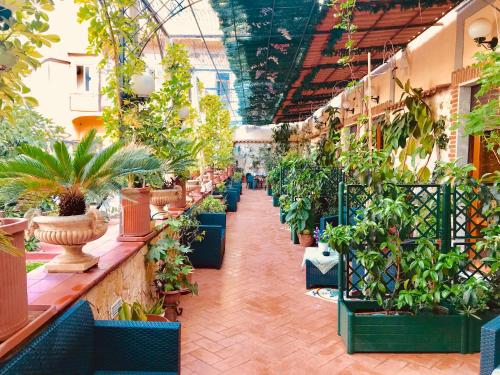 Фотография мини отеля Bed & Breakfast Medea