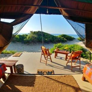 Фотографии кемпинга
Back of Beyond Dune Camp Yala