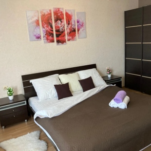 Фотография квартиры Апартаменты Welcome Home на Циолковского 7