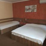 Фотография гостевого дома Pensiunea El Passo Targu Mures