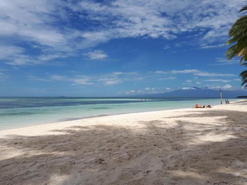 Фотография хостела JJS BACKPACKERS VILLAGE