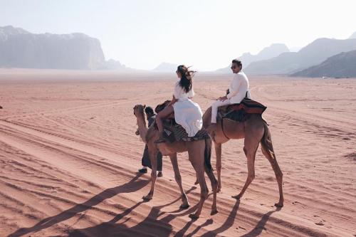 Фотографии гостиницы 
            bedouin future camp