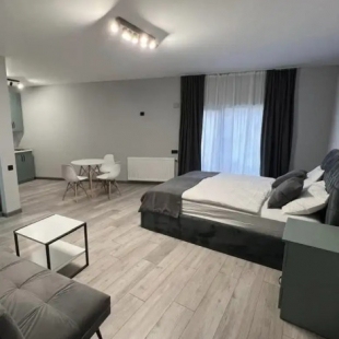 Фотография квартиры Maximus apartments in Mestia