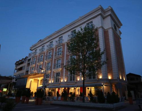 Фотография гостиницы Hotel Hymeti's Palace