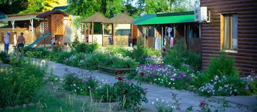 Фотографии базы отдыха
Берёзка