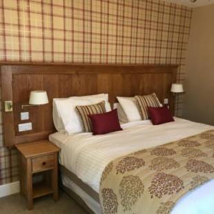 Фотографии мини отеля
Plas Yn Dre