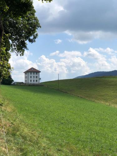 Фотографии гостевого дома
EssenceCiel