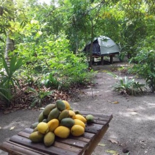 Фотография кемпинга Eco-Camping Mango Feliz Rincón del Mar