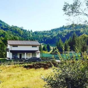 Фотографии гостевого дома
Cabana Căsaru