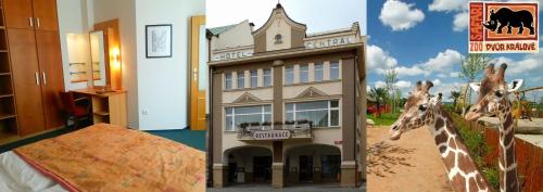 Фотография гостевого дома Penzion Hotelu Central