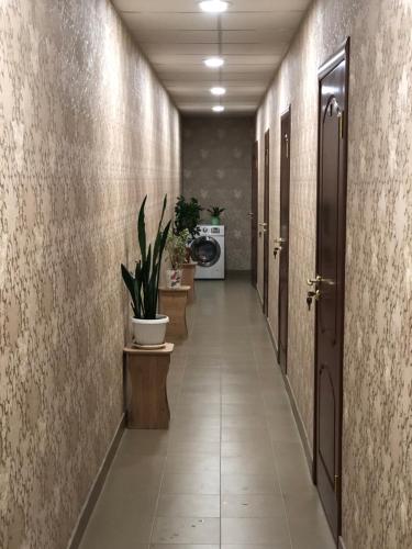 Фотография гостиницы HENSI